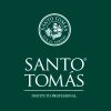 instituto_profesional_santo_toms_logo